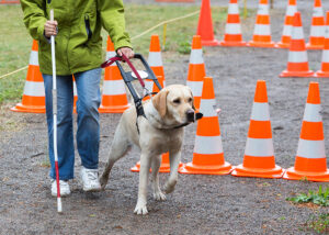 Blind person with her guide dog