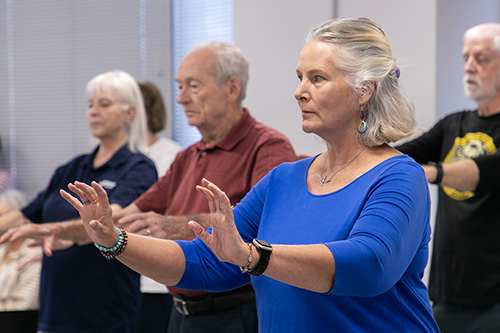 2025 FPAD Fair Photo Featuring Woman Doing Tai Chi